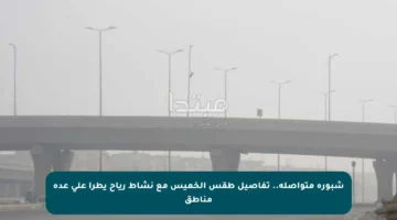 شبورة متواصلة.. تفاصيل طقس الخميس مع نشاط رياح يطرأ على عدة مناطق